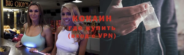гашик Белокуриха