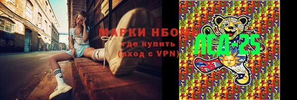 гашик Белокуриха