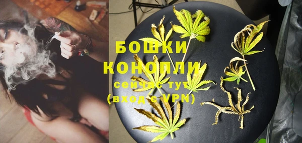 ПСИЛОЦИБИНОВЫЕ ГРИБЫ Белоозёрский