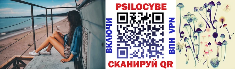 Галлюциногенные грибы Cubensis где купить наркоту Костомукша